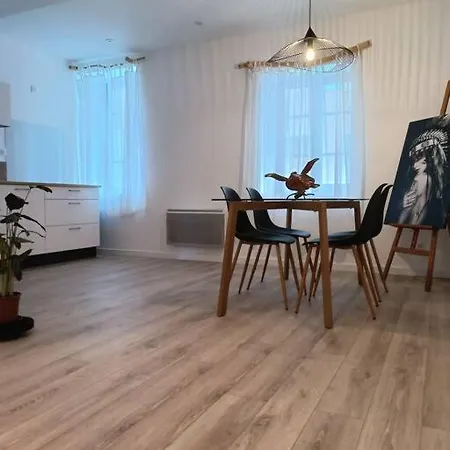 T2 Ultra Cosy En Hypercentre Lejlighed Tarare