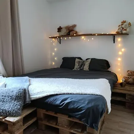 T2 Ultra Cosy En Hypercentre Lejlighed