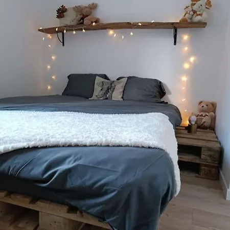Lejlighed T2 Ultra Cosy En Hypercentre *